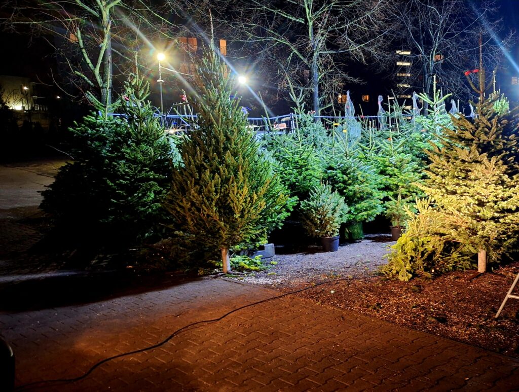 1000011021(1) 1000011021(1)